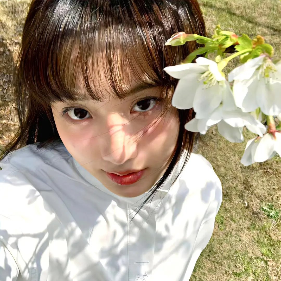 公牛骑士